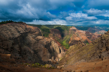 Overlooking Waimea Canyon State Park, Kauai, Hawaii, USA