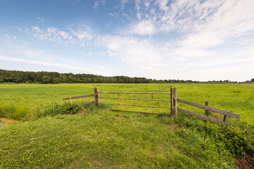 Fototapeta na wymiar Locked rusty gate before a green meadow in summer season