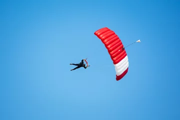 Plaid mouton avec photo Sports aériens Skydiver in the sky