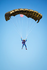 Skydiver in the sky