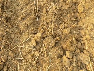 Soil on field
