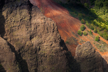 Overlooking Waimea Canyon State Park, Kauai, Hawaii, USA