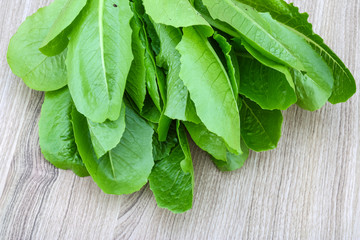 Romano salad leaves