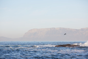Fototapeta premium beautiful sea landscape in South Africa