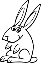 Fototapeta na wymiar rabbit farm coloring book