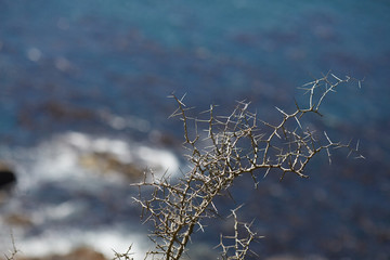 beautiful sea landscape in South Africa