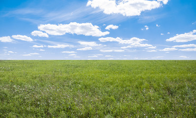 Obraz premium field on a background of the blue sky