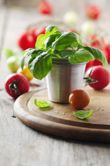 Fresh basil and red tomato on the table