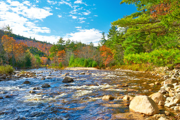 Swift River at autumn