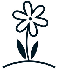 Flower isolated on white background