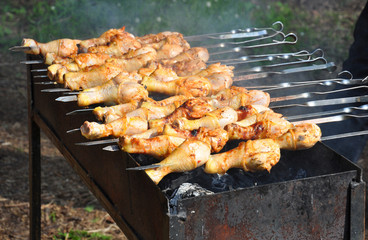 Appetizing shish kebab on  grill. Picnic