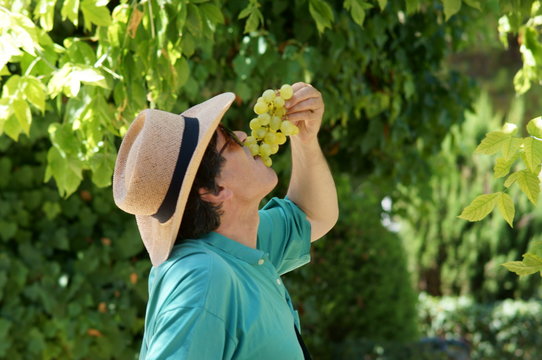 Uomo con cappello mentre mangia un grappolo d'uva in campagna