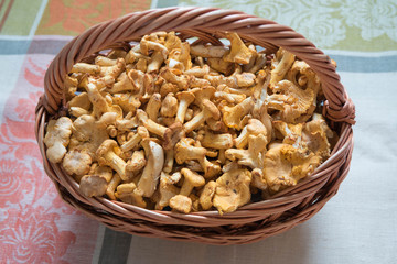 Корзина лисичек