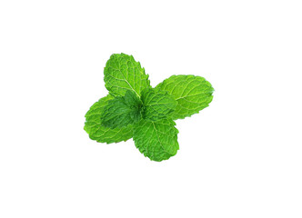 mint isolated on white background