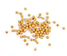soybean on white background