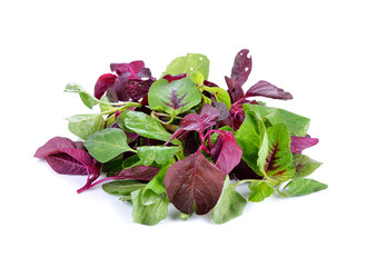 green and red spinach isolated on white background.