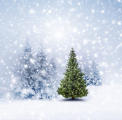 Christbaum im Winterwald
