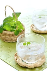 ミントと氷の入った水＆バスケットに入ったミント

