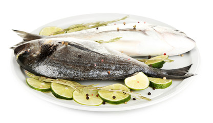 Two fish dorado with lemon on plate isolated on white