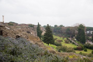 Pompeii on a rainy day 雨の日のポンペイ遺跡