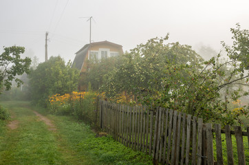 Fototapeta na wymiar Garden in the mist