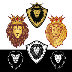 Fototapeta premium lion4