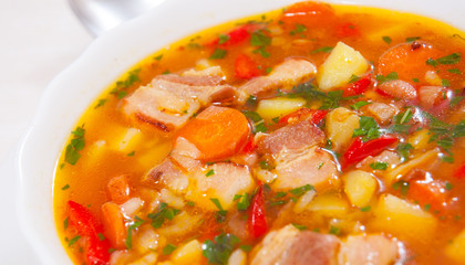 soup with meat, rice and vegetables