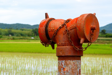 A weathered red fire hydrant (emergency water supply) near a paddy field.