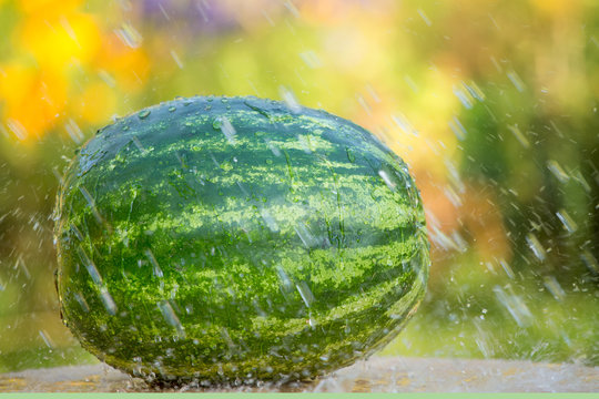 Watermelon under drops of water