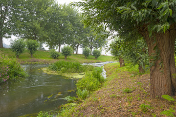 Rapids in a stream through a hazy landscape in summer