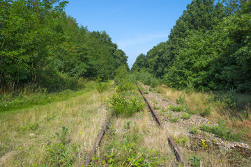 Derelict railway through a forest in summer