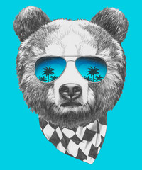 Portrait of Bear with mirror sunglasses.Vector