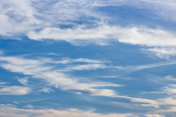 Fototapeta premium blue sky background with tiny clouds