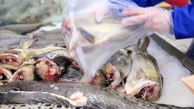 Seller puts fresh fish in the package at the fish market.