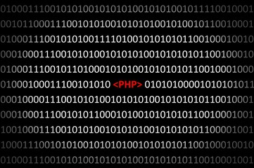 Binary code with PHP