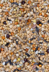 differentsmall grains seamless background