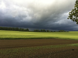 Gewitterwolken mit baum und Acker
