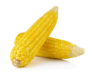 corn on white background