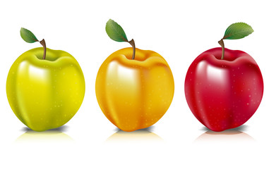Three apples represented in three colours.