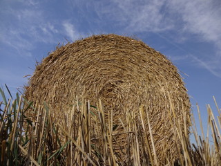 Strohballen mit blauem Himmel und Sonnenschein