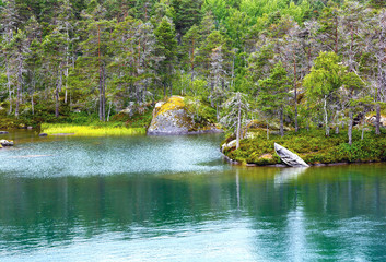 Summer fjord landscape (Norway).