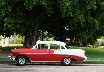 Unter einem Baum parkender roter amerikanische Oldtimer  in Varadero Cuba