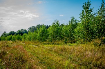 Fototapeta premium ground road