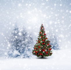 Fototapeta na wymiar Rot Geschmückter Tannenbaum im Schnee