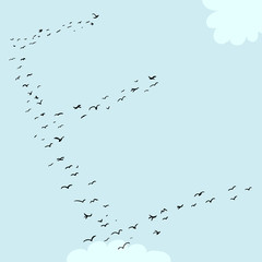 Bird Formation In E