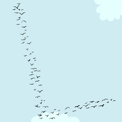 Bird Formation In L