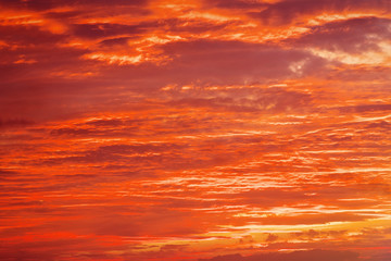 Naklejka na ściany i meble Fiery orange sunset sky. Beautiful sky background.