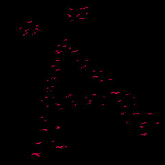 Fototapeta na wymiar Bird Formation In Diacrtic A