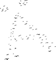 Bird Formation In Diacrtic A