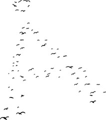 Bird Formation In Ringed A